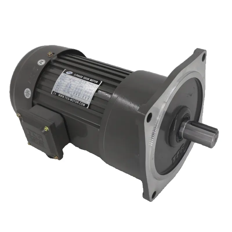 TCG (Tai Chuang Gear Motor) asennuksen ja huollon varotoimet